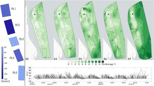 Quantifying bivalve phytoplankton depletion in a eutrophic system: an integrated approach