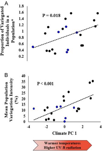 An elevational cline in leaf variegation: Testing anti-herbivory and abiotic heterogeneity hypotheses in maintaining a polymorphism