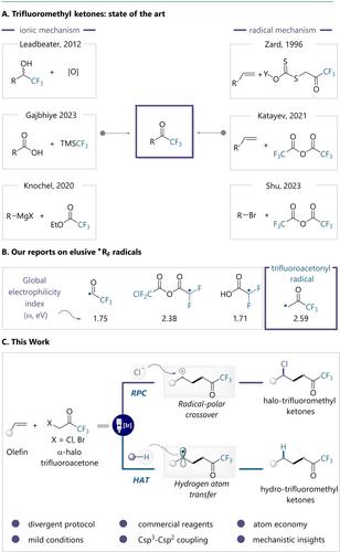 Divergent Synthesis of Trifluoromethyl Ketones via Photoredox Activation of Halotrifluoroacetones