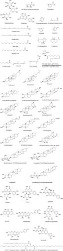 Antidiabetic potential of fenugreek (Trigonella foenum-graecum): A magic herb for diabetes mellitus