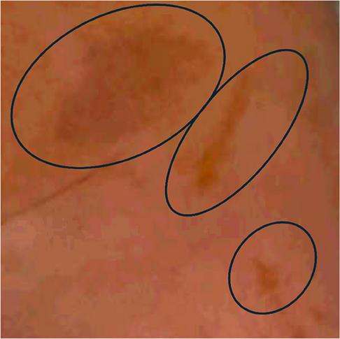 Abstract Image
