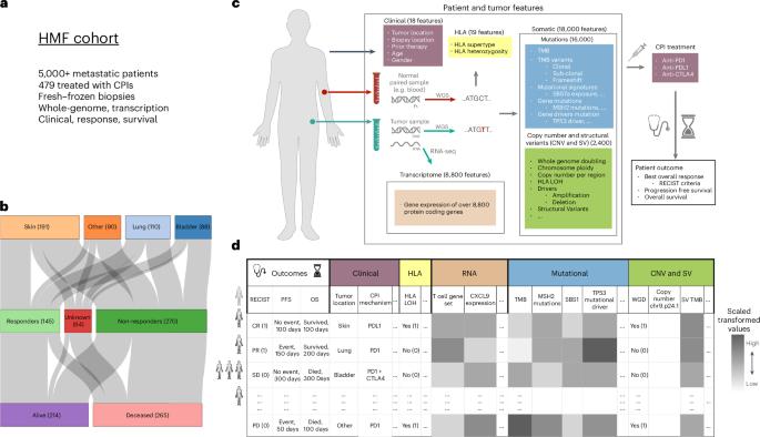 Five latent factors underlie response to immunotherapy