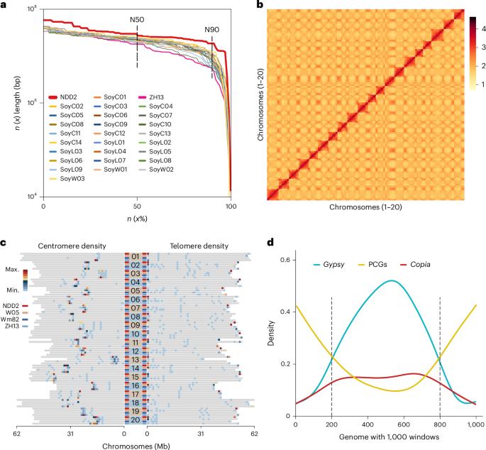 High-quality genome of a modern soybean cultivar and resequencing of 547 accessions provide insights into the role of structural variation