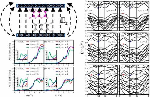 Electrically Tunable Electronic and Optical Properties of Bilayer GaS