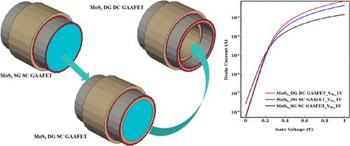 Short-Channel Effect Suppression and Footprint Reduction in Double Gate-All-Around Field Effect Transistors and Inverters Based on Two-Dimensional Materials