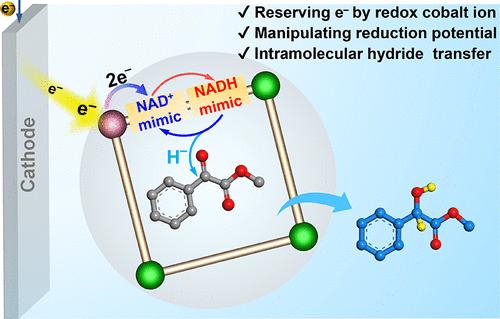 Reserving Electrons in Cofactor Decorated Coordination Capsules for Biomimetic Electrosynthesis of α-Hydroxy/amino Esters