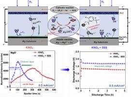 Mg anode interface engineering in KNO3 electrolyte with sodium 5-sulfosalicylate as an additive for enhanced performance of Mg-air batteries