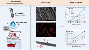 Fabrication and characterization of oleic acid/sesame protein isolate/ poly (vinyl) alcohol core-shell nanofibers: Mitigating lipid oxidation by emulsion electrospinning