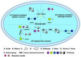 Bioorthogonal chemistry-based prodrug strategies for enhanced biosafety in tumor treatments: current progress and challenges