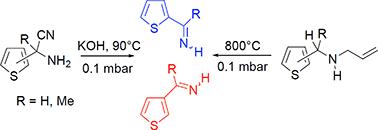 N-Unsubstituted 2- and 3-thiophenimines†