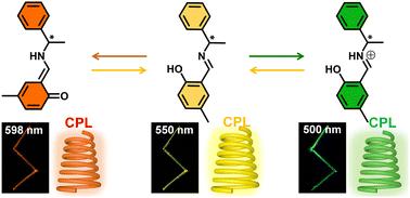 Flexible organic crystals with multi-stimuli-responsive CPL for broadband multicolor optical waveguides†