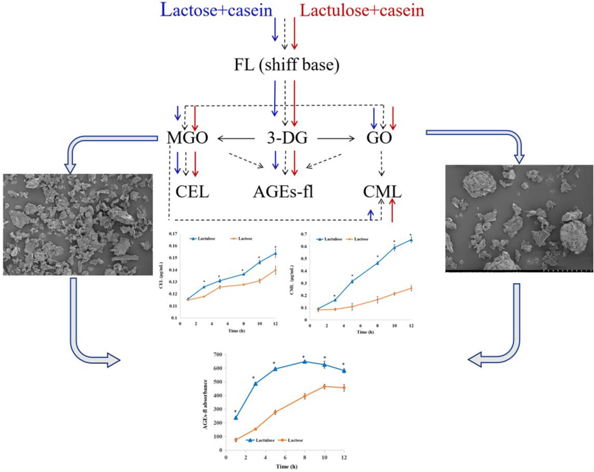 Comparison of casein glycations induced by lactose and lactulose