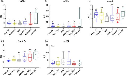 Defence-relevant gene expression differences in hatchlings among wild Newfoundland and farmed European and North American Atlantic salmon and their hybrids