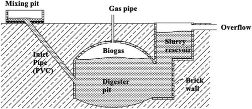 Biogas production and techno-economic feasibility studies of setting up household biogas technology in Africa: A critical review