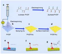 A highly sensitive SERS sensor based on PVDF/Au nanofibers for trace analysis of nitrite ions†