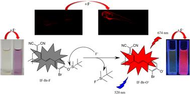 A novel fluorescent probe for efficient detection of fluoride ions in living animal and plant tissues†