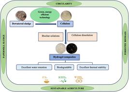 Incorporating biochar to make hydrogel composites with improved structural properties, valorized from waste-paper mill sludge and forestry residues using energy efficient protocols†