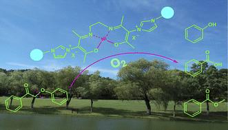 Oxidative cleavage of β-O-4 bonds in lignin model compounds with polymer-supported Ni–Salen catalysts†