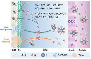 Salt precipitation and water flooding intrinsic to electrocatalytic CO2 reduction in acidic membrane electrode assemblies: fundamentals and remedies