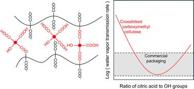 Low-water-permeability foils based on bio-renewable cellulose derivatives†