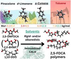 Enzymatic polymerization of furan-based polymers in biobased solvents†