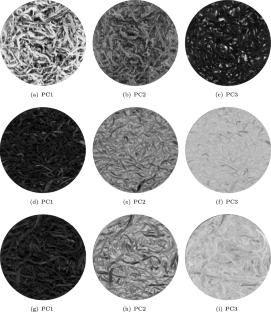 Classification of tea quality grades based on hyperspectral imaging spatial information and optimization models