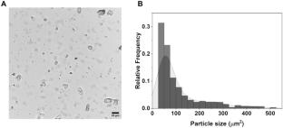 Quality evaluation and comparative physicochemical and sensory studies of chickpea (Cicer arietinum) beverage