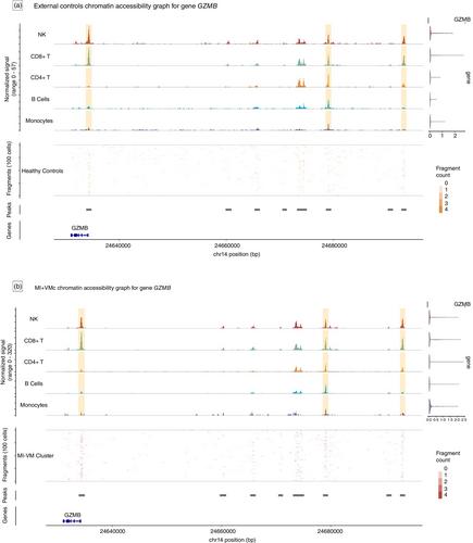 Multiomic-based immune response profiling in migraine, vestibular migraine and Meniere's disease