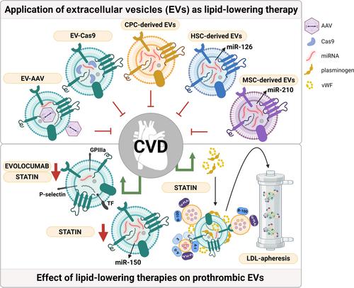 Therapeutic and pharmacological applications of extracellular vesicles and lipoproteins