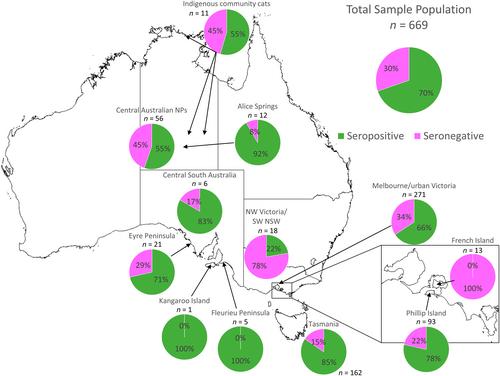 High prevalence of antibodies against feline calicivirus in Australian feral and stray cat (Felis catus) populations