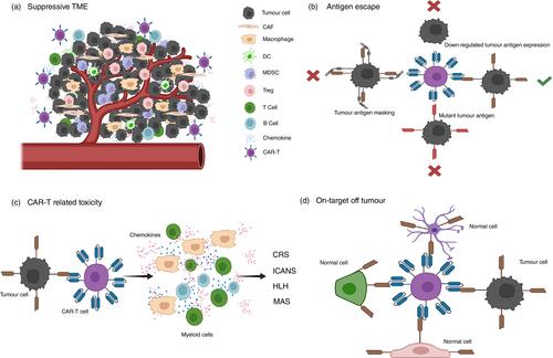 RNA technology and nanocarriers empowering in vivo chimeric antigen receptor therapy