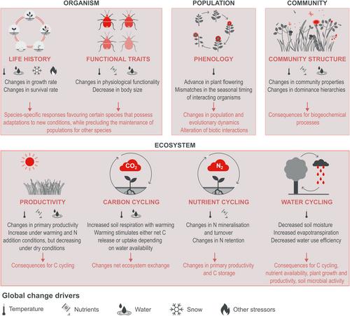 Global change experiments in mountain ecosystems: A systematic review