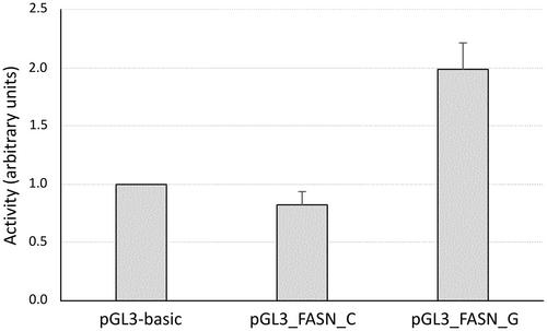 Identification of a functional single nucleotide polymorphism in the FASN promoter associated with milk fat traits in dairy cattle