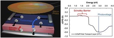 Surface photovoltage predicts open circuit voltage in GaP/PEDOT:PSS and GaP/CuSCN heterojunction solar cells†