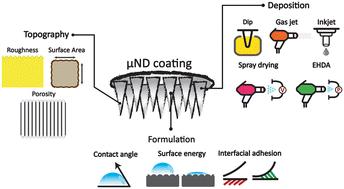 Topographical characteristics of 3D printed polymeric microneedle surface and its impact on coating formulation attributes