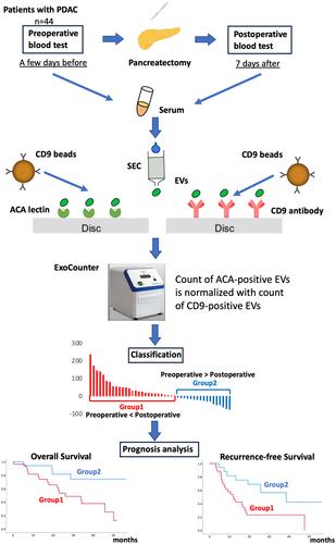 Prognosis prediction of PDAC via detection of O-glycan altered extracellular vesicles in perioperative sera