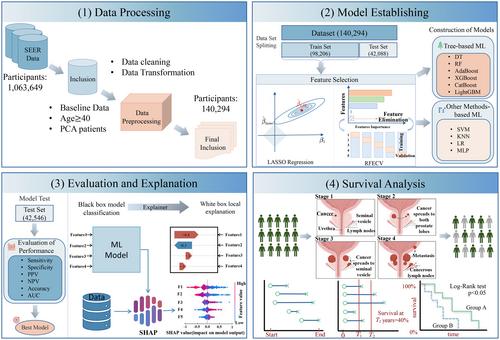 Prostate cancer treatment recommendation study based on machine learning and SHAP interpreter