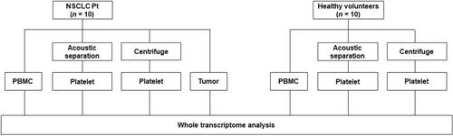 Improved platelet separation performance from whole blood using an acoustic fluidics system