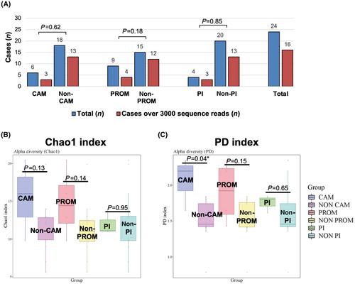 Microbiological investigation of pregnancies following vaginal radical trachelectomy using 16S rRNA sequencing of FFPE placental specimens