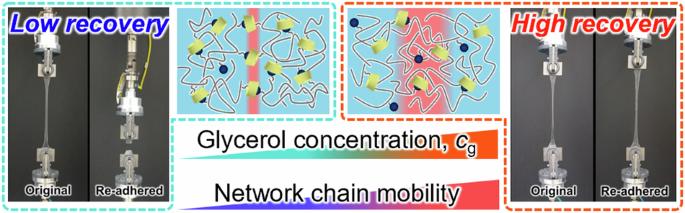 Viscoelastic behaviors for optimizing self-healing of gels with host–guest inclusion complexes