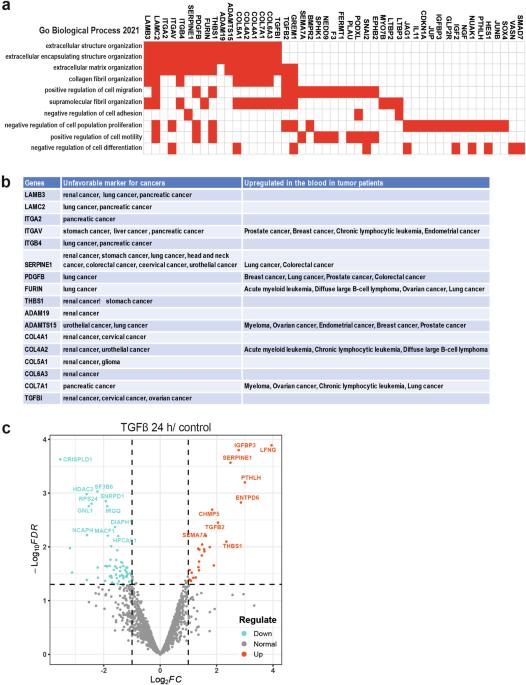 The TβRI promotes migration and metastasis through thrombospondin 1 and ITGAV in prostate cancer cells