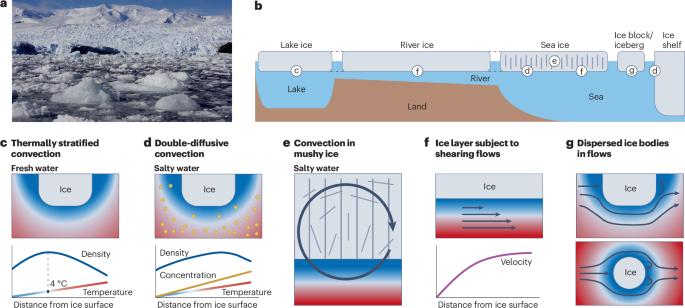 The physics of freezing and melting in the presence of flows