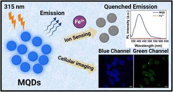 l-cysteine capped MoS2 QDs for dual-channel imaging and superior Fe3+ ion sensing in biological systems†