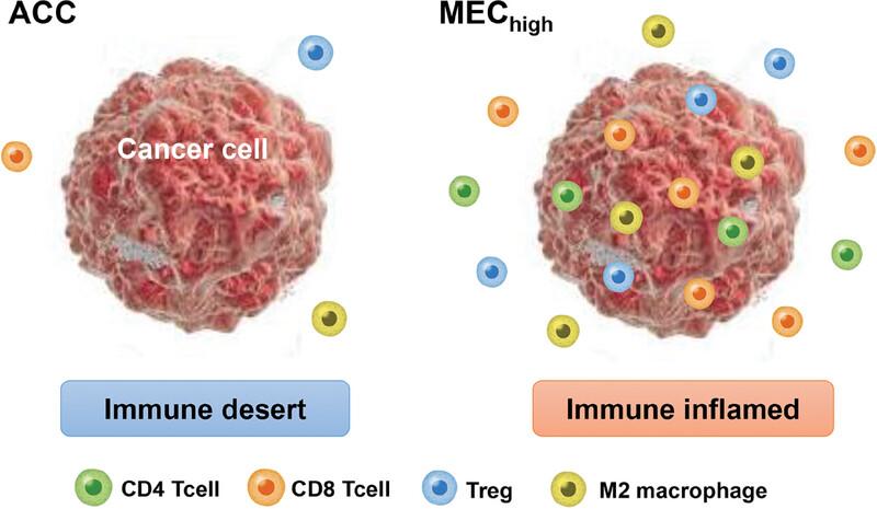 Different characteristics of the tumor immune microenvironment among subtypes of salivary gland cancer