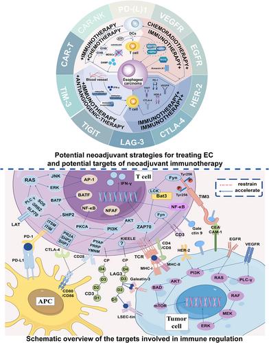 A narrative review on advances in neoadjuvant immunotherapy for esophageal cancer: Molecular biomarkers and future directions