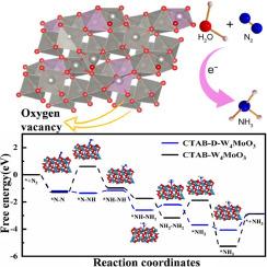 Oxygen vacancies-rich molybdenum tungsten oxide nanowires as a highly active nitrogen fixation electrocatalyst