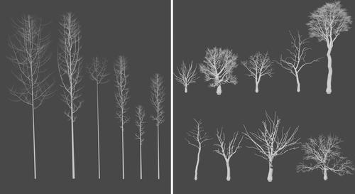 Completing 3D point clouds of individual trees using deep learning