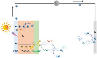 In situ formation of a Co-MOF/Ti–Fe2O3 photoanode for efficient photoelectrochemical water splitting†