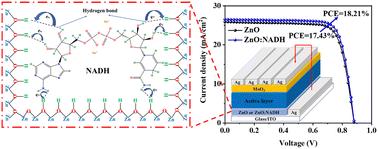 Application of a NADH-modified ZnO electron transport layer in high performance organic solar cells†