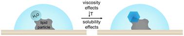 Immersion ice nucleation of atmospherically relevant lipid particles†